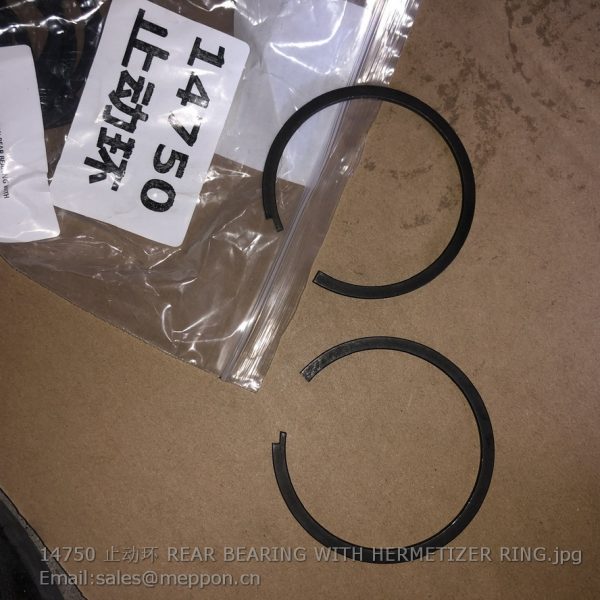 14750 REAR BEARING WITH HERMETIZER RING