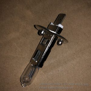 190003452490 70W BULB
