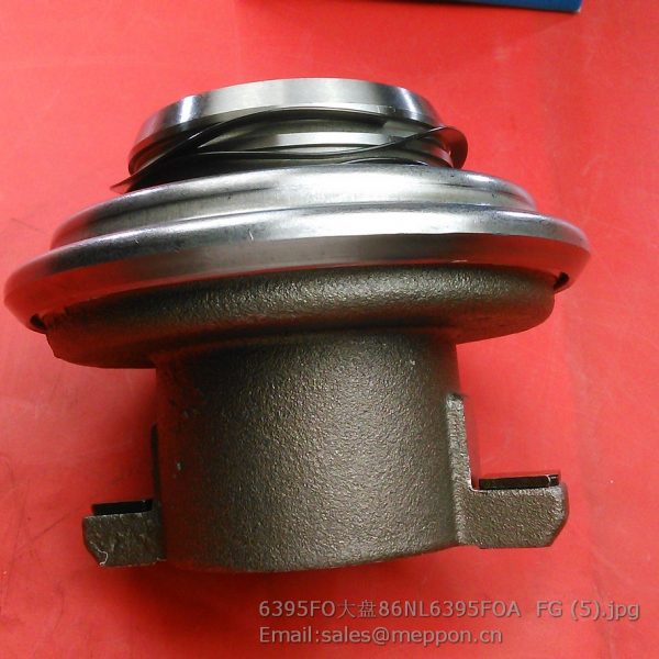 WG9725160510 86NL6395FO BEARING