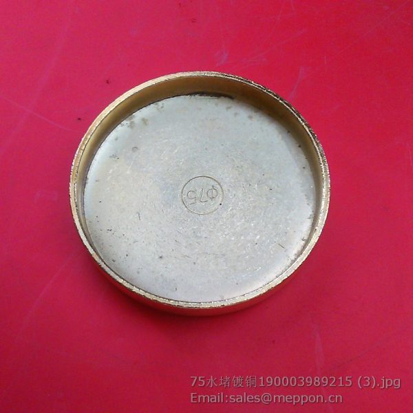 190003989215 PLUG