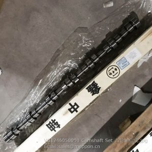 VG1246050001 Camshaft Set