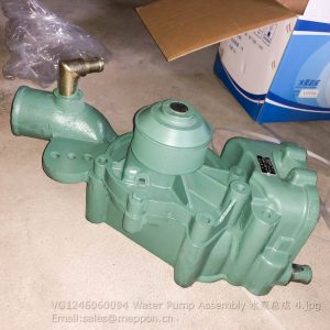 VG1246060094 Water Pump Assembly