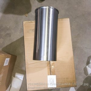 VG1246080018 Cylinder LINER