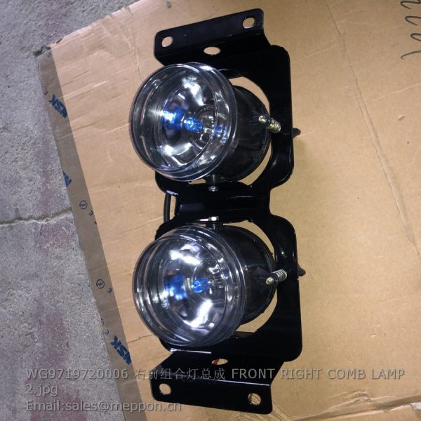 WG9719720006 FRONT RIGHT COMB LAMP