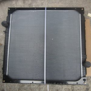 WG9725530011 WG97195300010 radiator