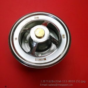 c22al-1118010 thermostat 1118010m