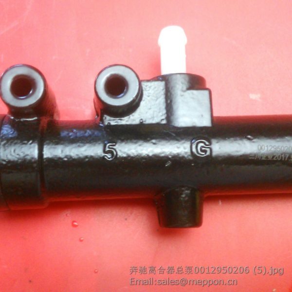 0012950206 Master cylinder