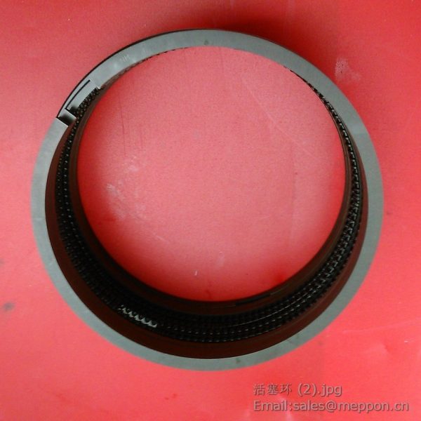 4100.04.02-1/03/04-1 PISTON RING CHAOCHAI CY4102