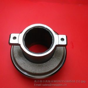 WG9725160510 Bearing 86NL6395FO