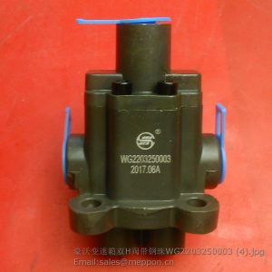 WG2203250003 Valve