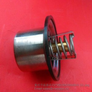 VG1047060003 thermostat
