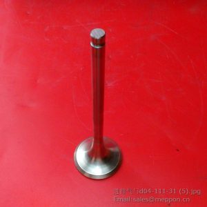 D04-111-31 D04-111-31B VALVE SHANGCHAI