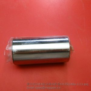 T3313T005 piston pin