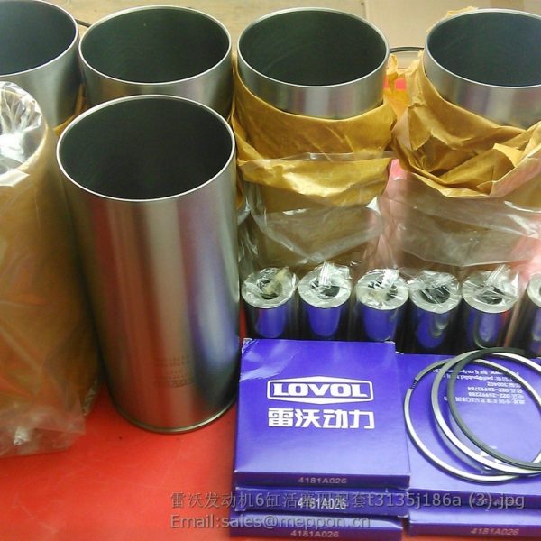 T3135X062 cylinder liner