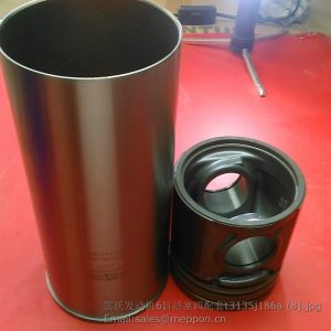 t3135j186a piston perkins