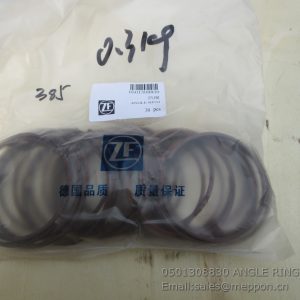 W030601980 W43001100 sp100005 860116276 7200001566 4110000367110 RETAINING RING