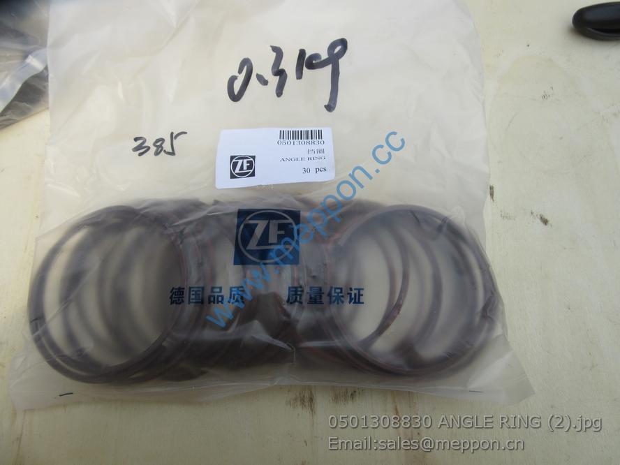 W030601980 W43001100 sp100005 860116276 7200001566 4110000367110 RETAINING RING