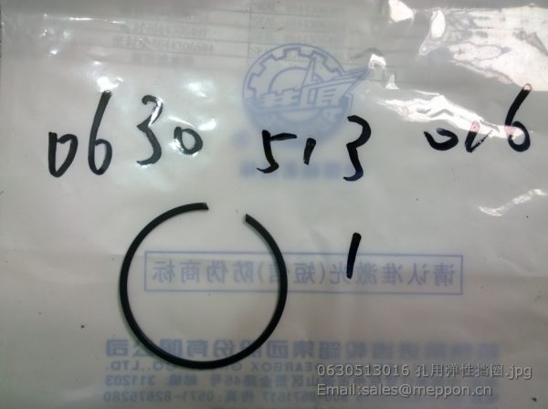 0630513016 SNAP RING