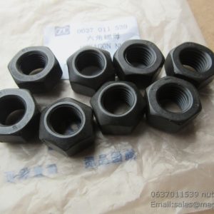 W041900640 SP100122 7200001929 LOCKING NUT