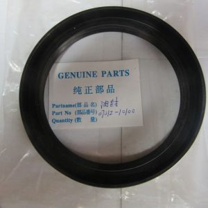 07012-10100 seal oil shantui