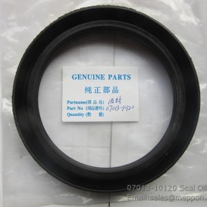 07013-10120 Seal Oil