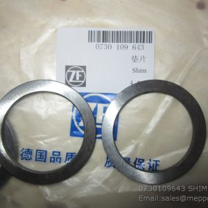 W030602270 W43012950 4110000367123 WASHER