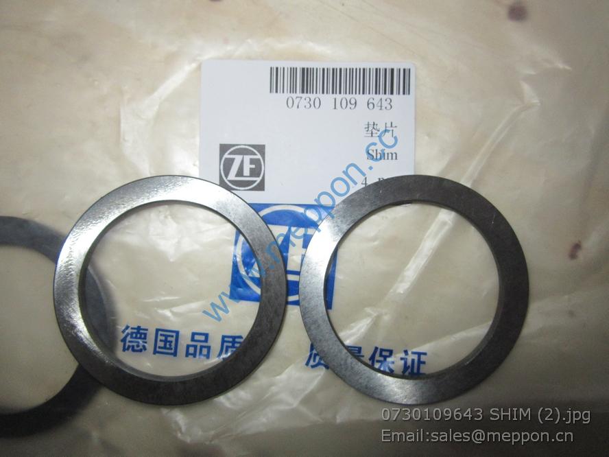 W030602270 W43012950 4110000367123 WASHER