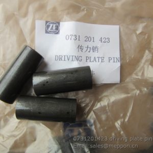 SP100199 7200001890 PIN