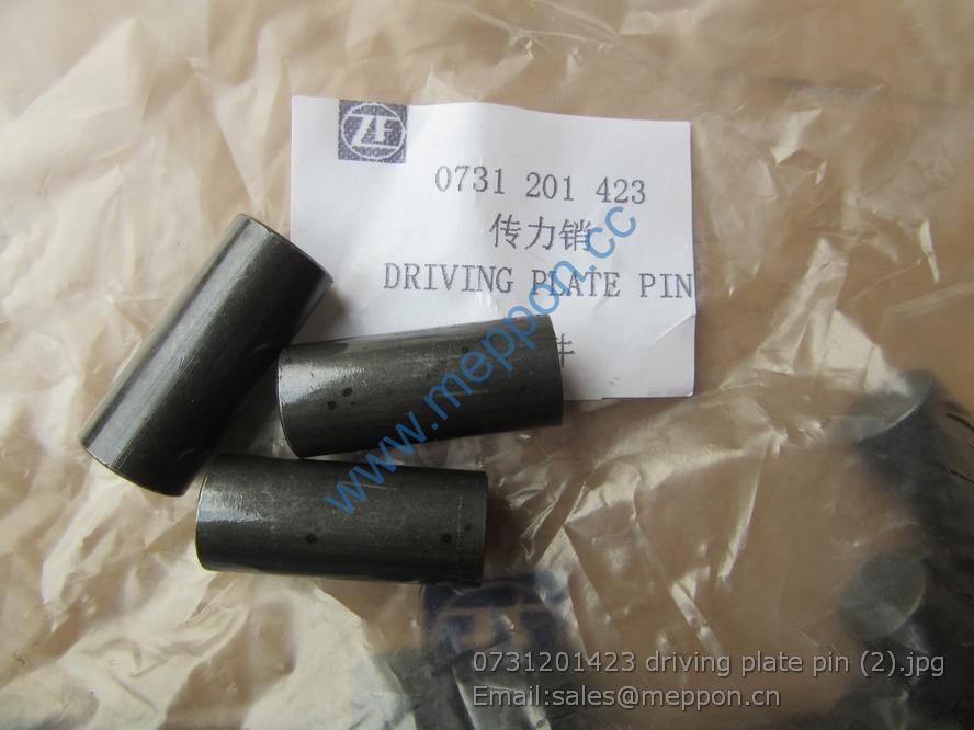 SP100199 7200001890 PIN