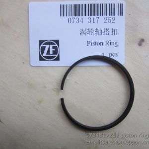 0734317252 piston ring