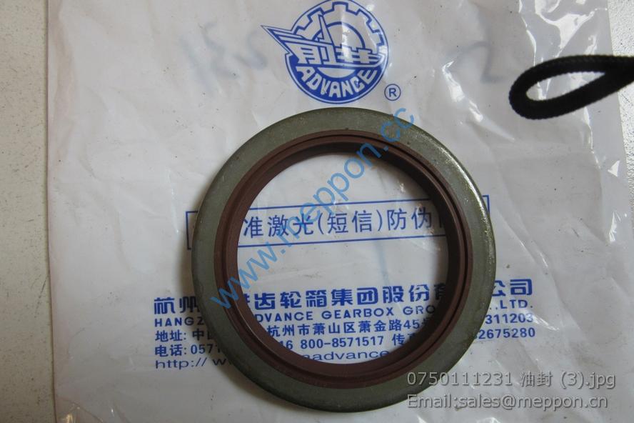 0750111231 OIL SEAL