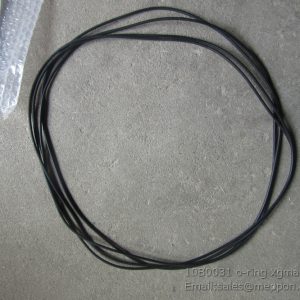 10B0031 o-ring xgma