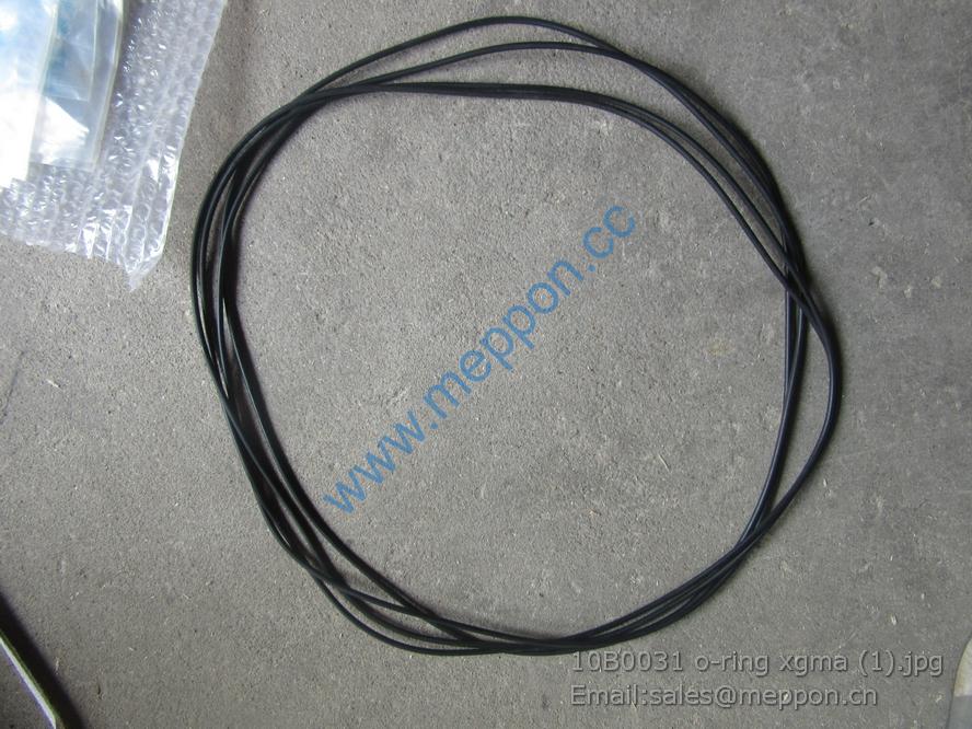 10B0031 o-ring xgma