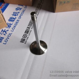 12159606 valve inlet WEICHAI