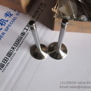 12159608 valve EX WEICHAI