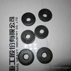 12164645 SPRING CAP 4110000054240 SP105394 W010250740