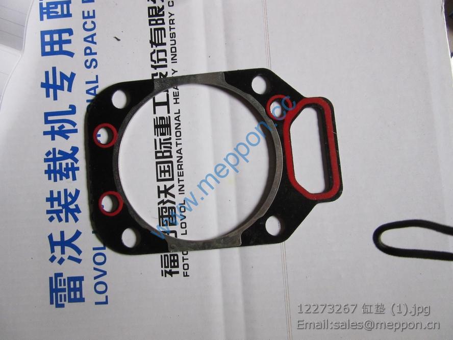 12273267 CYLINDER HEAD GASKET 4110000054233 W010250050