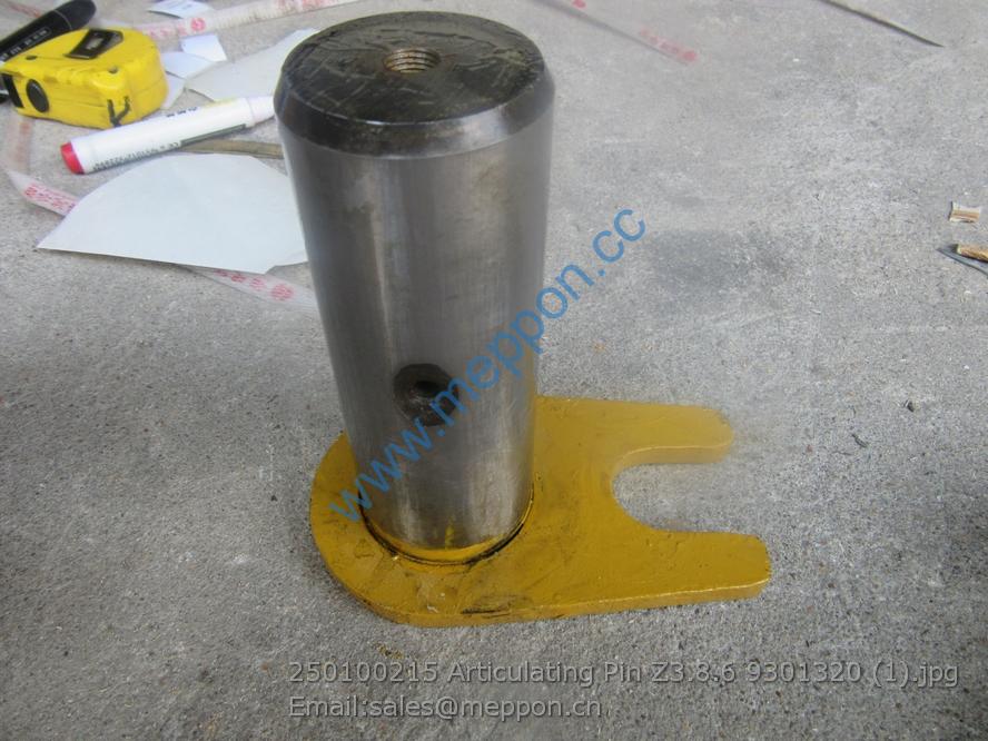 250100212 AUXILIARY CHASSIS PIN Z3.8.5 9301317