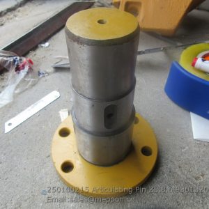 250100215 Articulating Pin Z3.8.6 9301320