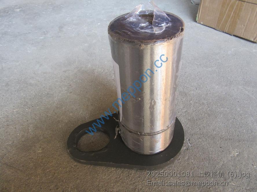 29250001081 SDLG PIN