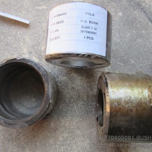 3070900081 BUSH SDLG PARTS