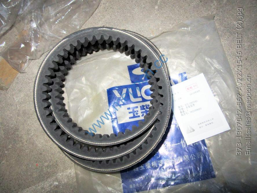 373-1307042-562 AV22X1546 BELT YUCHAI 373-1307042