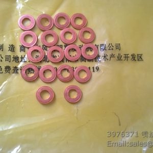 3976371 CUMMINS INJECTOR SEAL