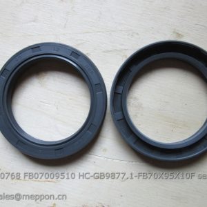4030000768 FB07009510 HC-GB9877.1-FB70X95X10F sealing ring