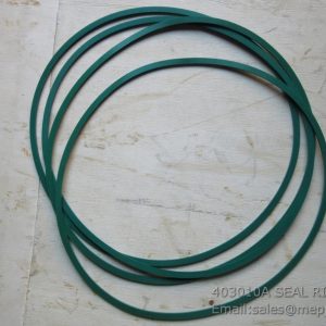 403010A SEAL RING 4110000184074 11B0004