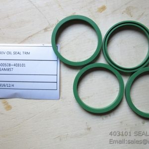 403101 SEAL 11B0001 4110000184097 LG853.03.01.01-001