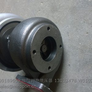 4110000189009 turbocharger 13032478 W010251560