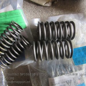 4110000560061 SP106209 6105Q-1007022 Valve outer spring