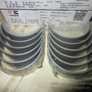 4892795 con rod bearing CUMMINS SP112376