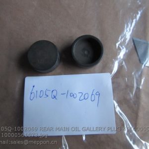 6105Q-1002069 REAR MAIN OIL GALLERY PLUG 4110000560055 4110000561073